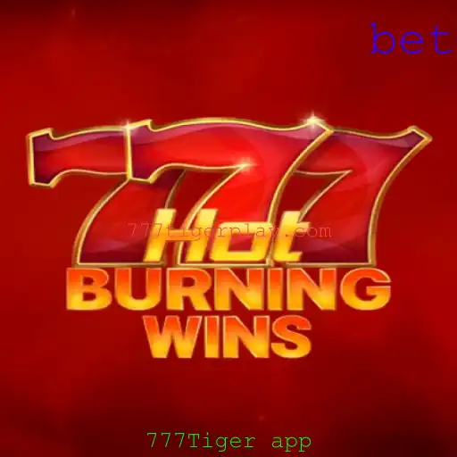 Descubra o Excitante Universo de HotBurningWins no 777Tiger App